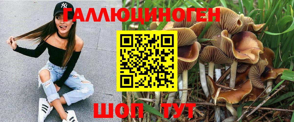 Заводоуковск  Галлюциногенные грибы ЛСД  Вход с VPN  Псилоцибиновые грибы ЛСД 